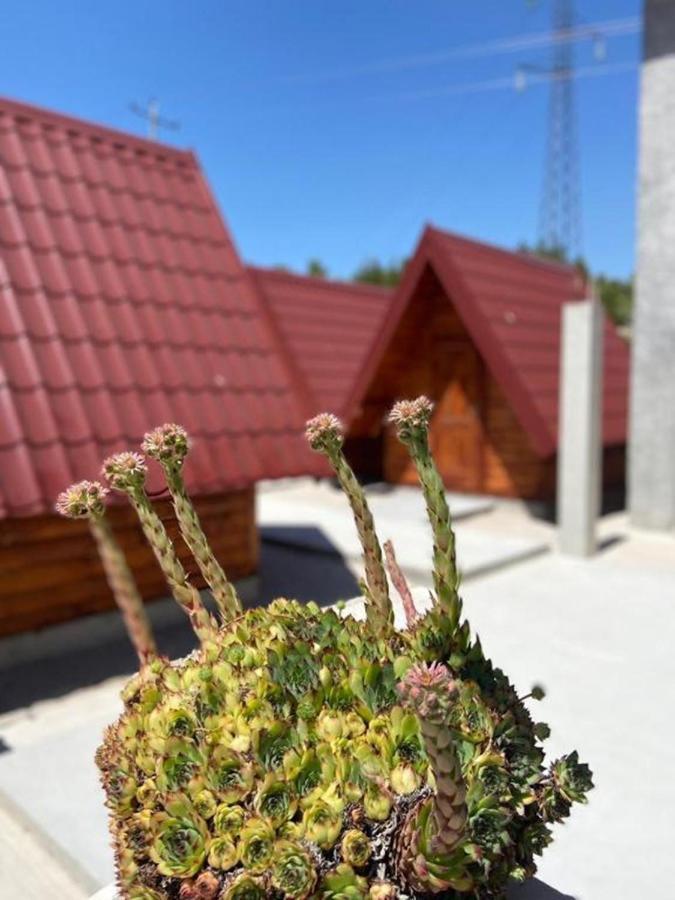Bungalows Kisin Villa Trebinje Bagian luar foto